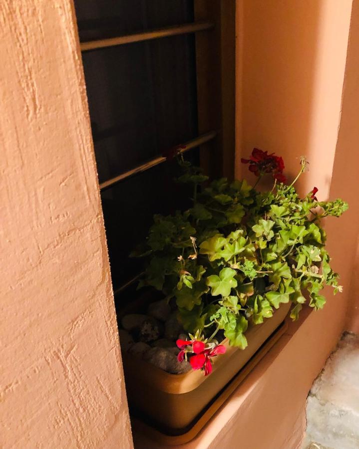 Solo Traveler Apartment Ermoupoli Bagian luar foto